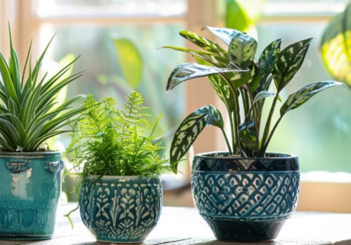 Transform Your Space With Top Air Purifying Plants And 20x20x1 Air Filters